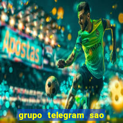 grupo telegram sao jose do rio preto