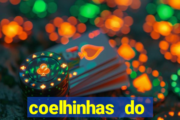 coelhinhas do brasil recife