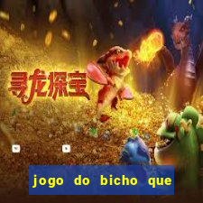 jogo do bicho que paga no pix