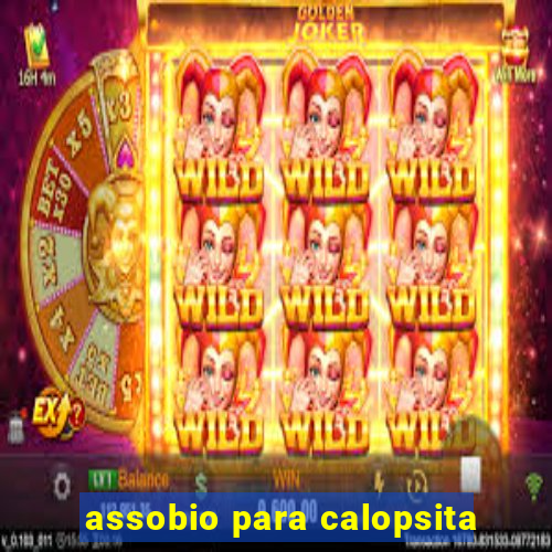 assobio para calopsita