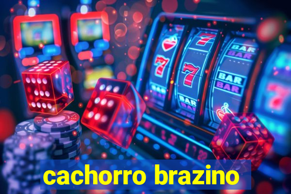 cachorro brazino