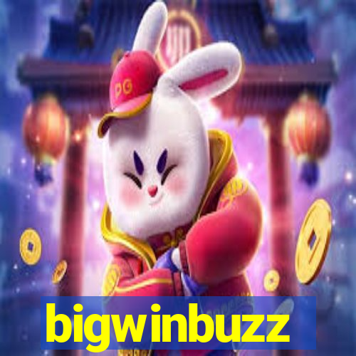 bigwinbuzz