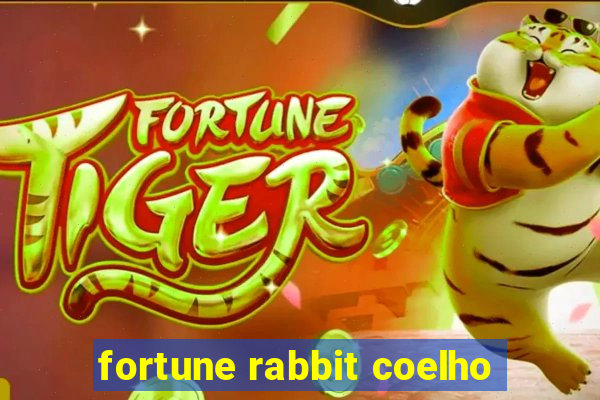 fortune rabbit coelho