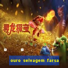 ouro selvagem farsa ouro selvagem o que aconteceu