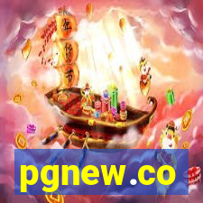 pgnew.co