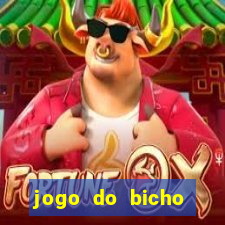 jogo do bicho banca ouro verde